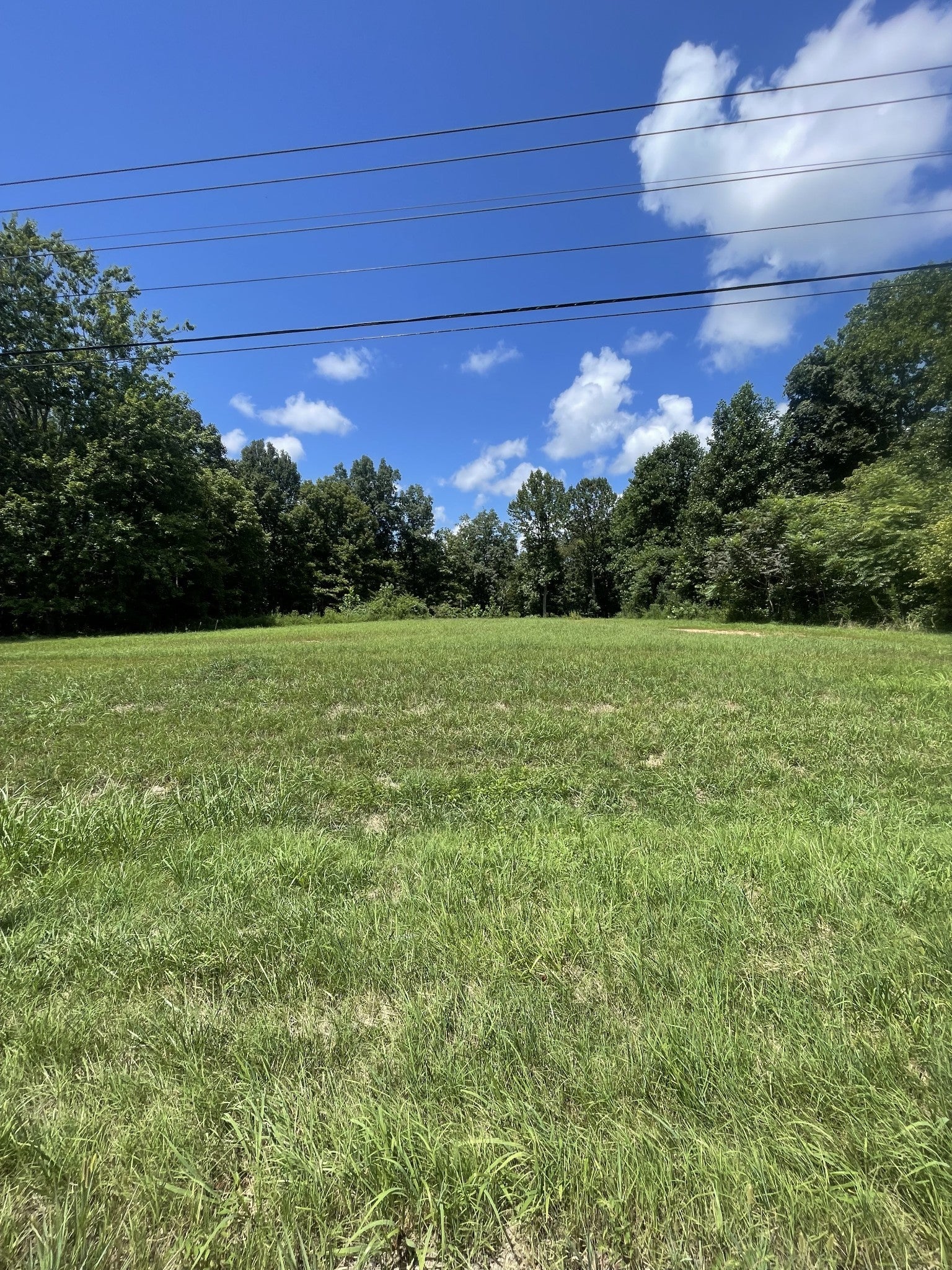 Photo of Listing #2971112