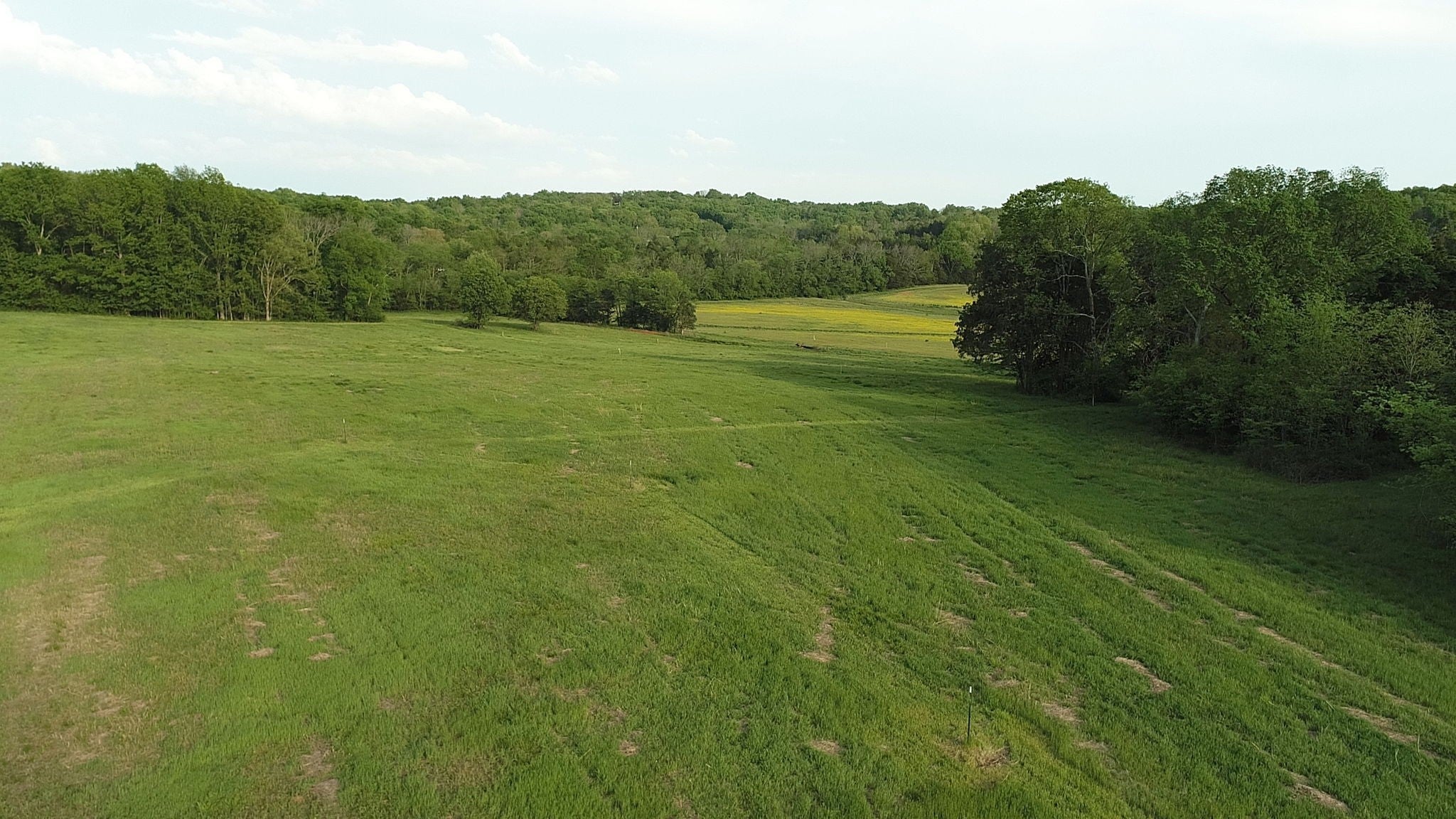 Photo of Listing #2971116