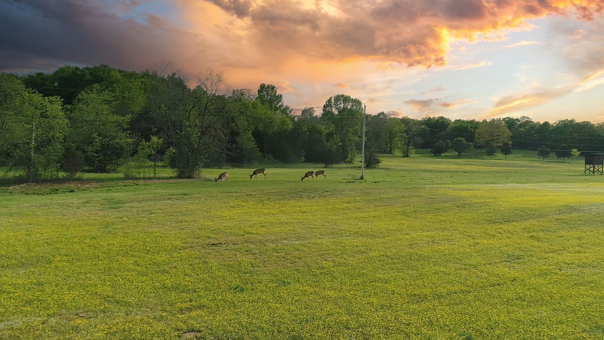 Photo of Listing #2971129