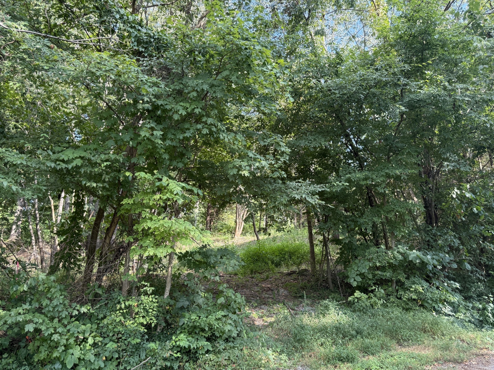 Photo of Listing #2971131