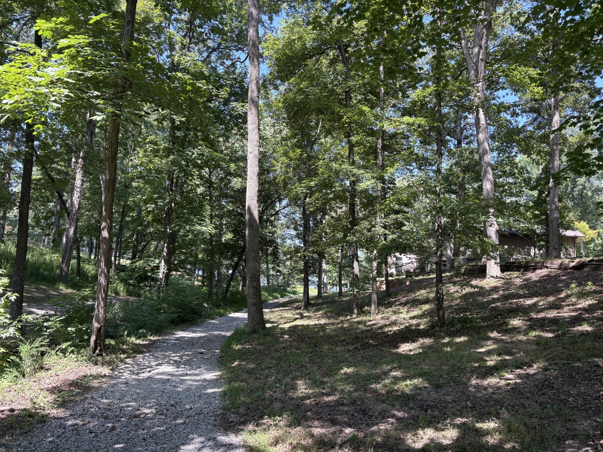 Photo of Listing #2971289