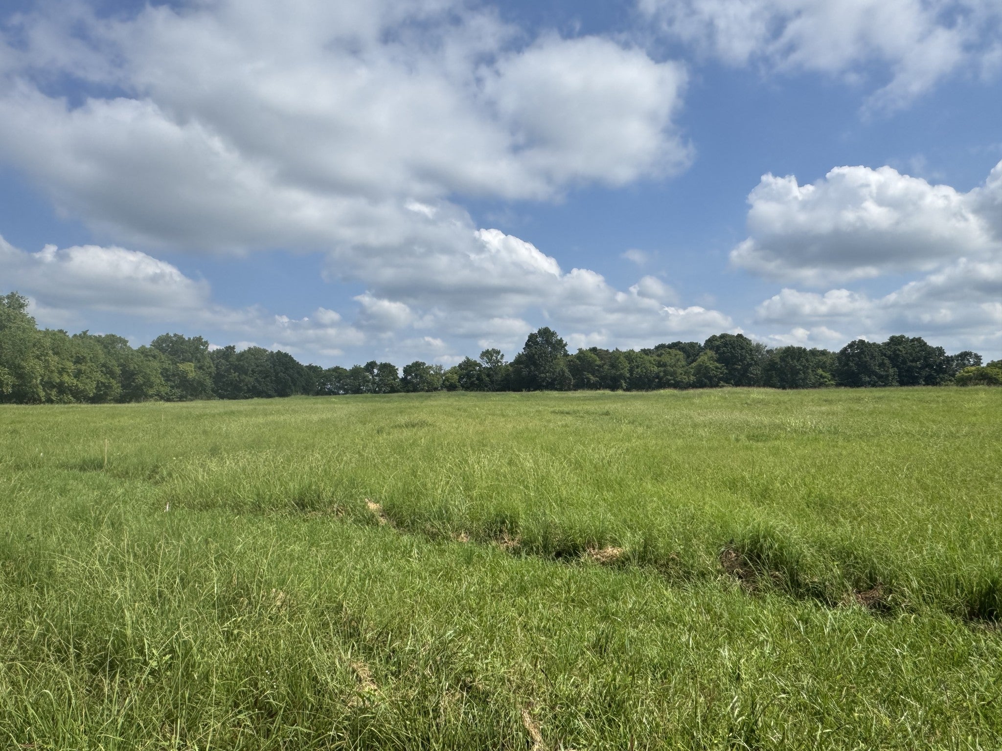 Photo of Listing #2971311