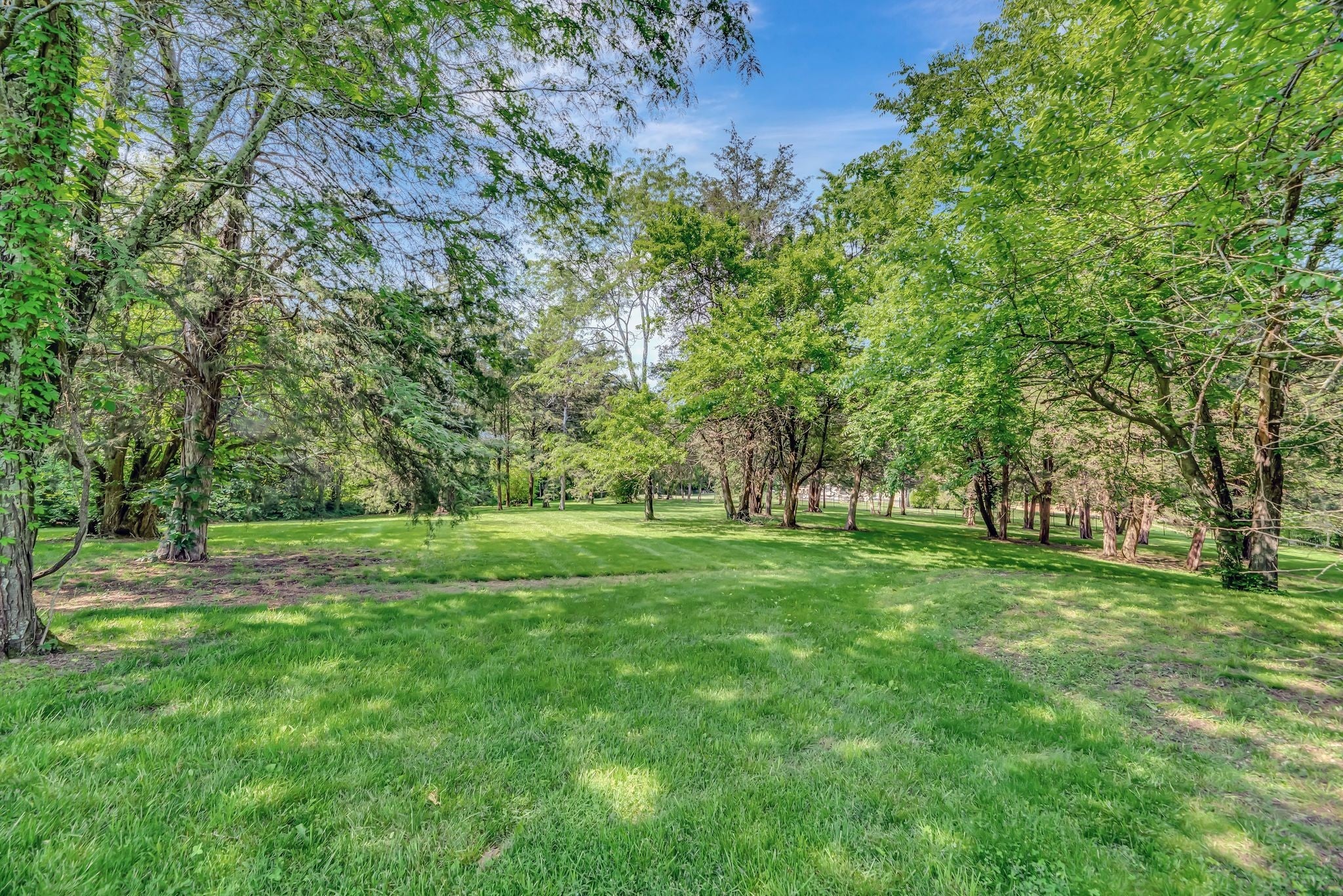 Photo of Listing #2971359