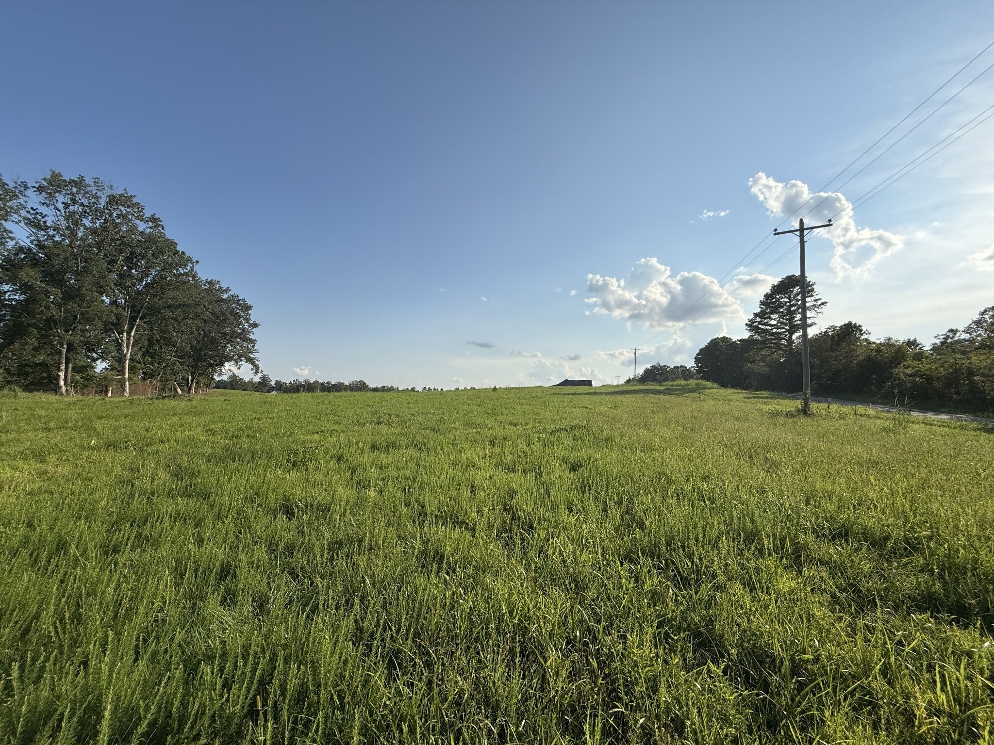 Photo of Listing #2971599