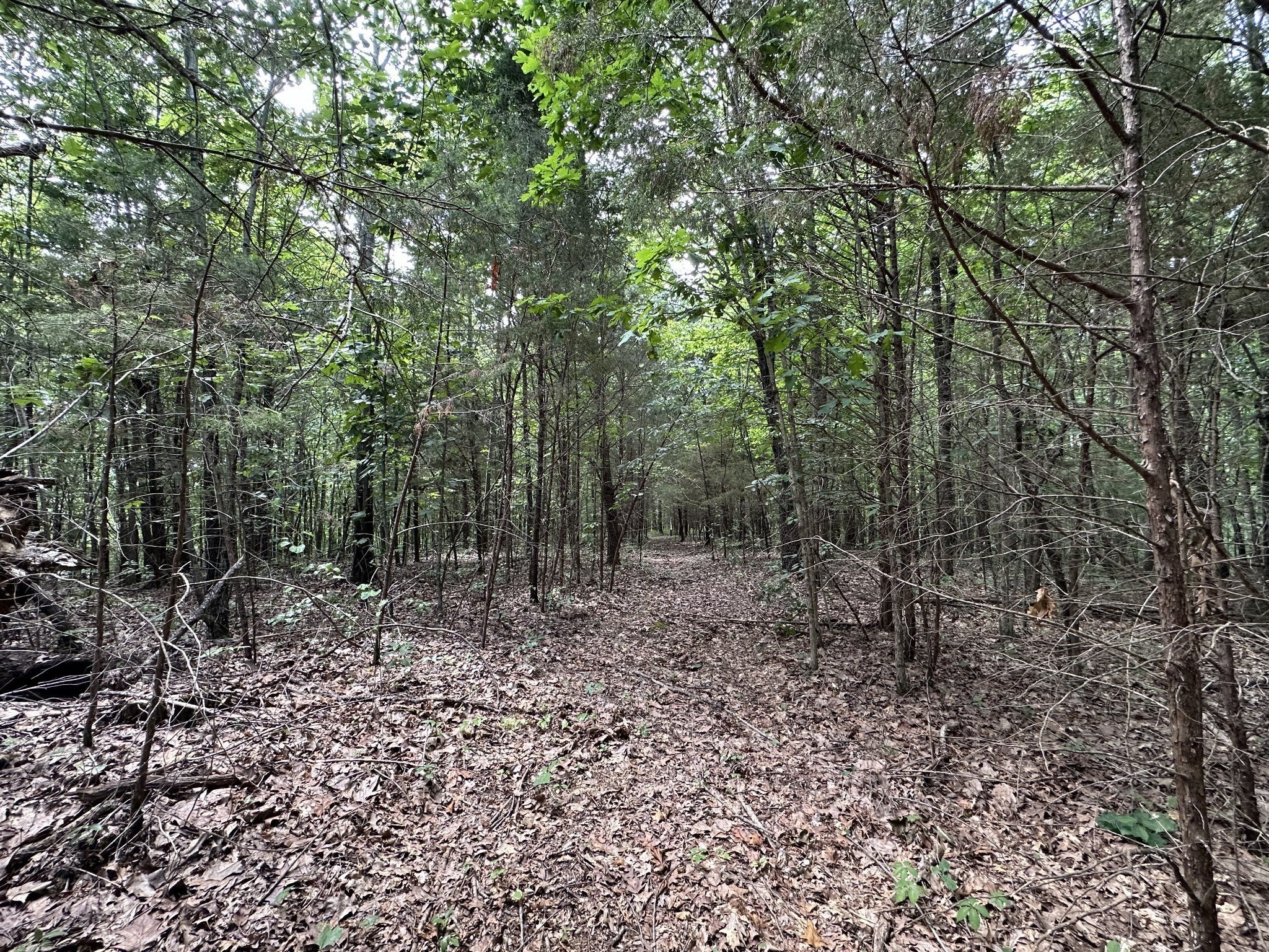 Photo of Listing #2971642