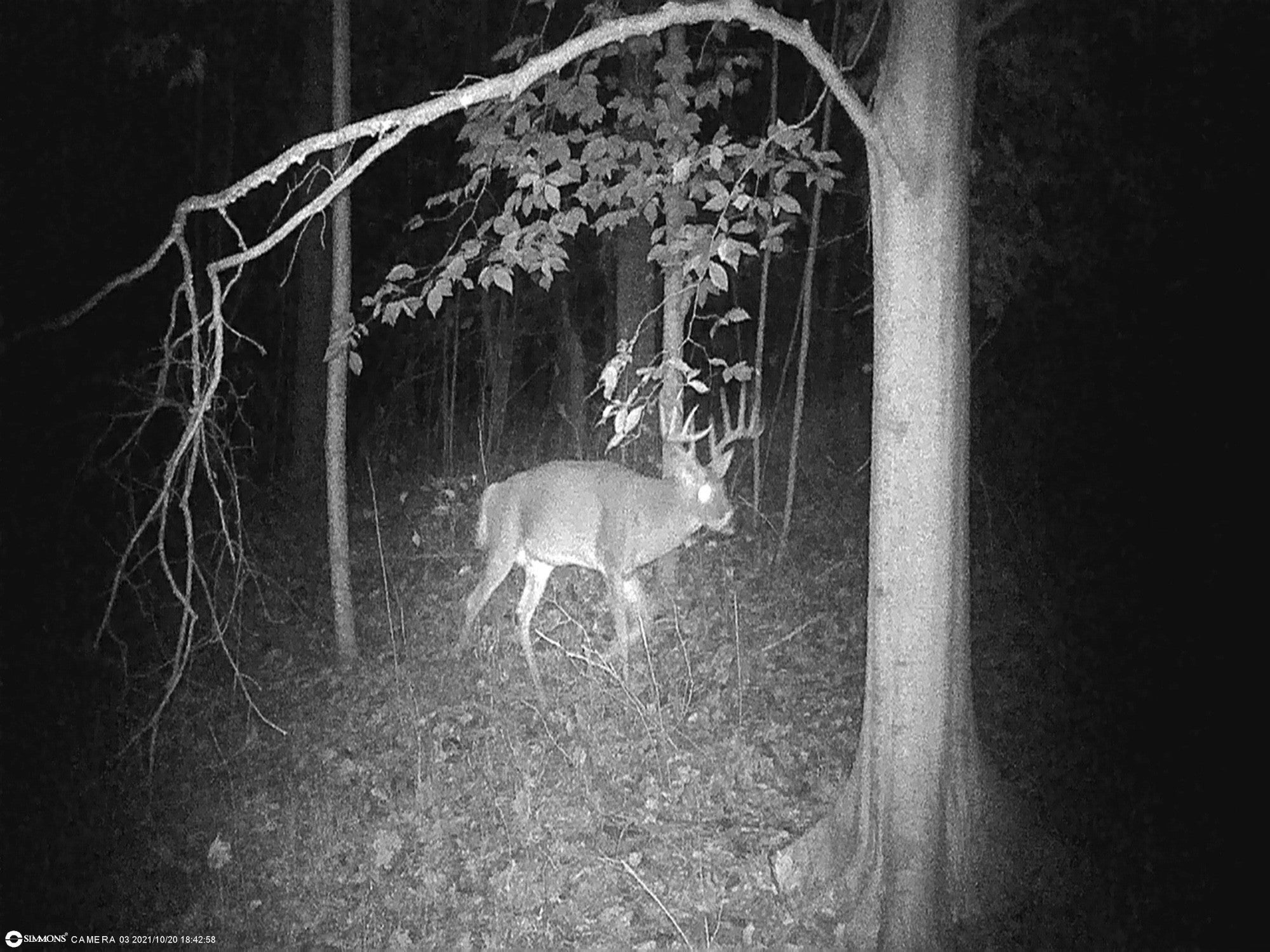 Photo of Listing #2971642