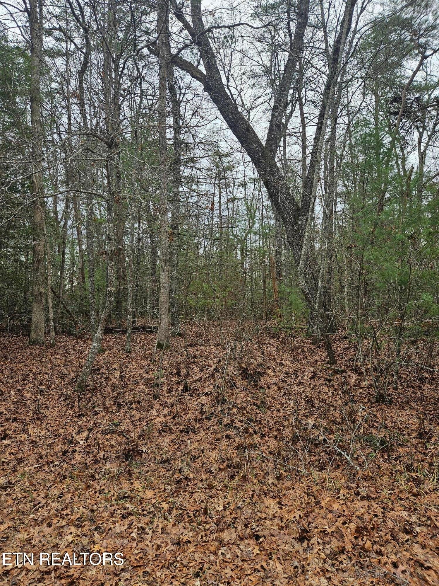 Photo of Listing #2972337