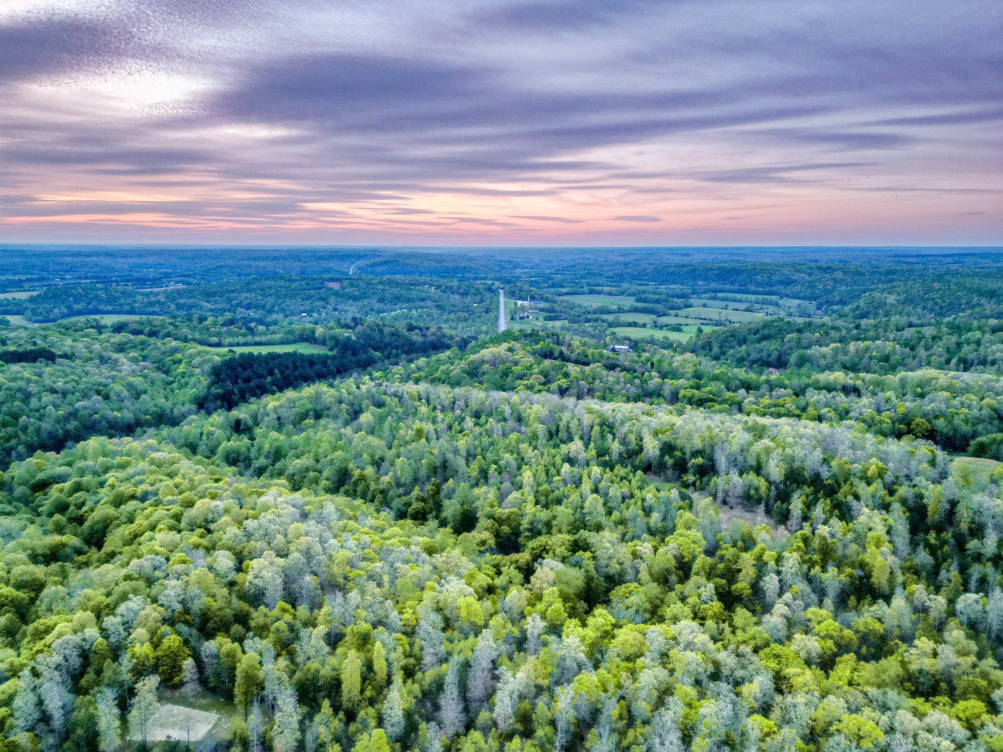 Photo of Listing #2972558