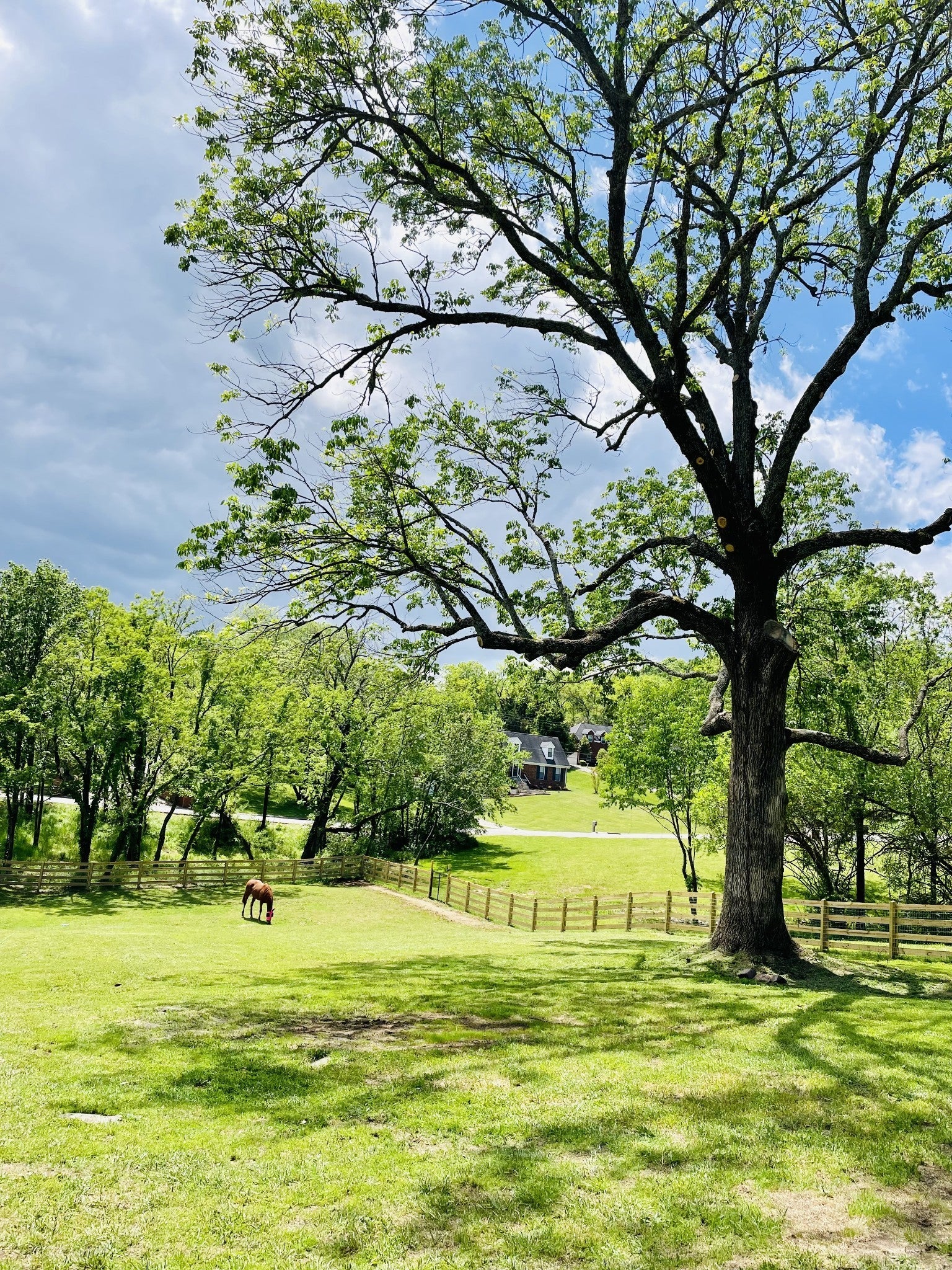 Photo of Listing #2973487