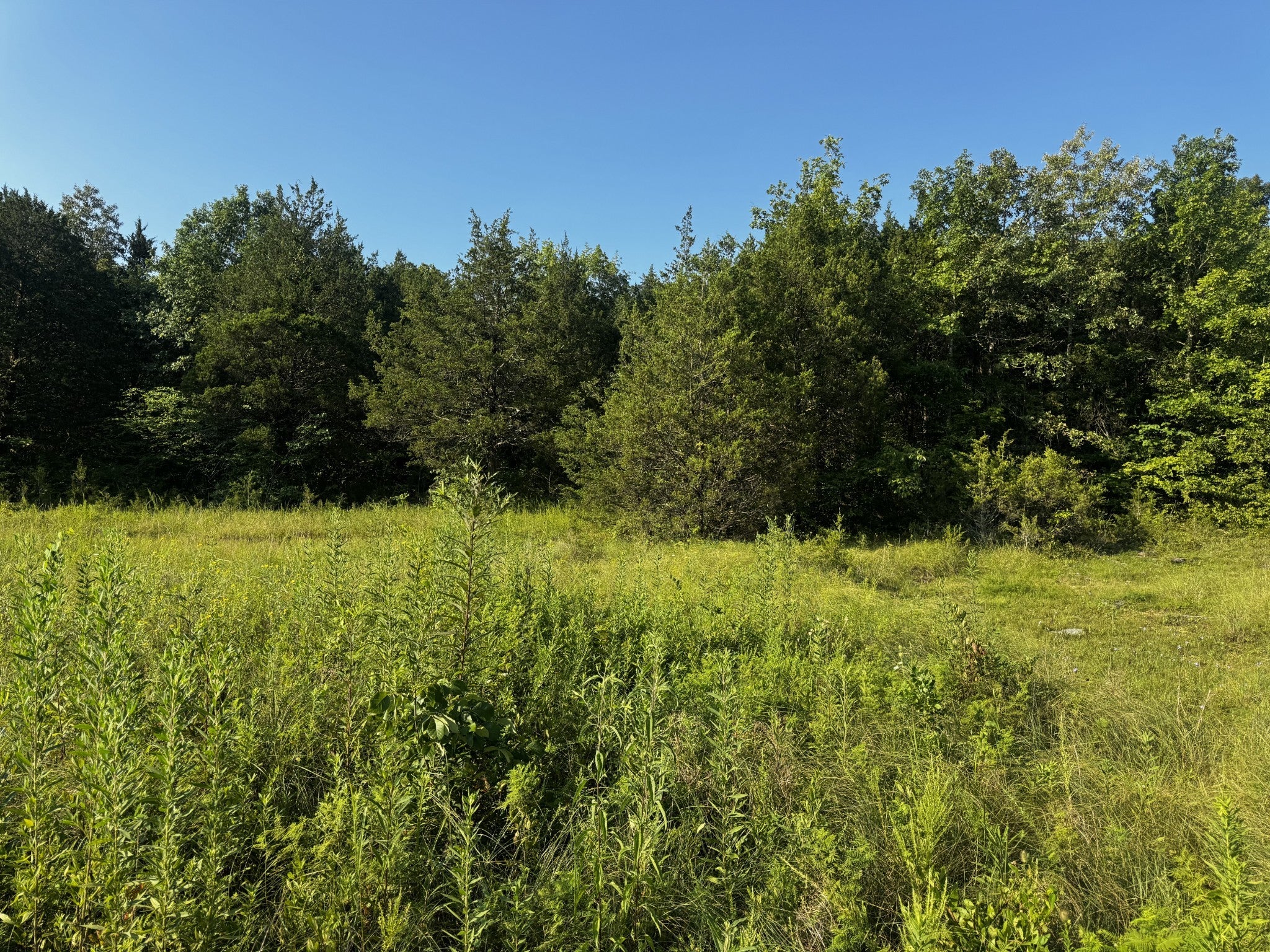 Photo of Listing #2973635