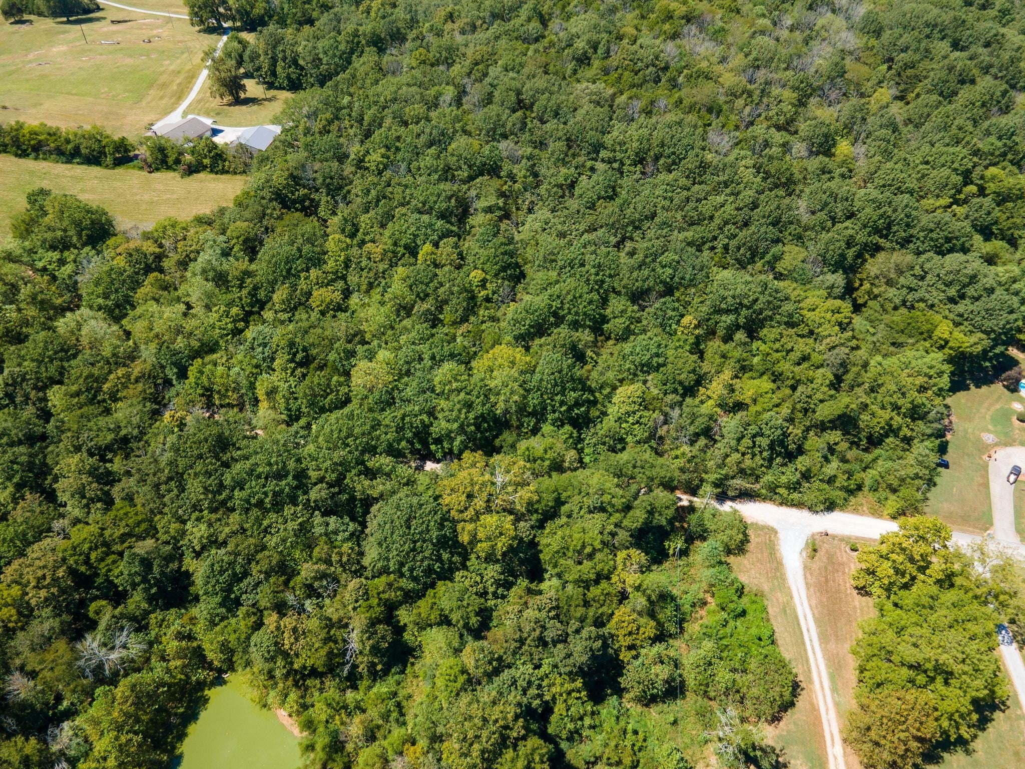 Photo of Listing #2974468