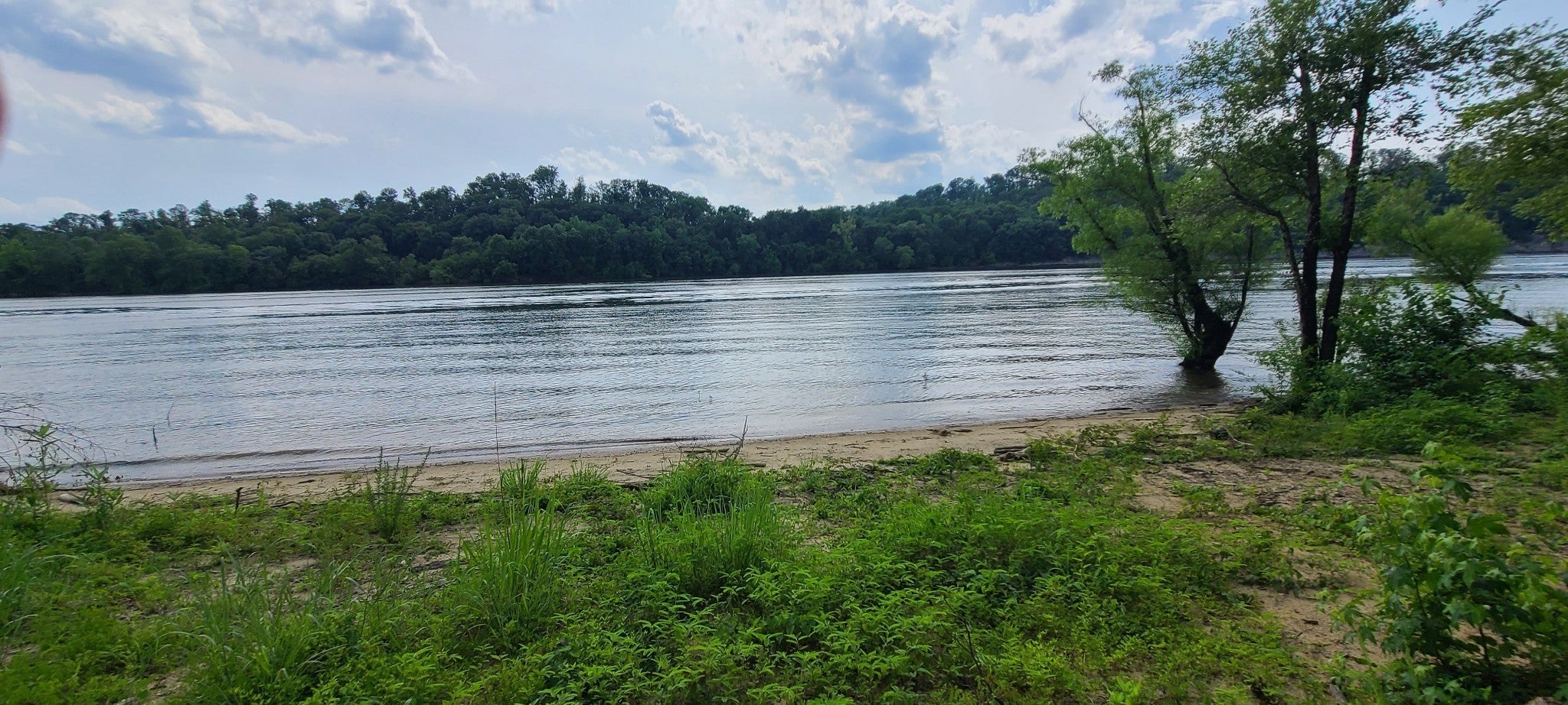 Photo of Listing #2974611