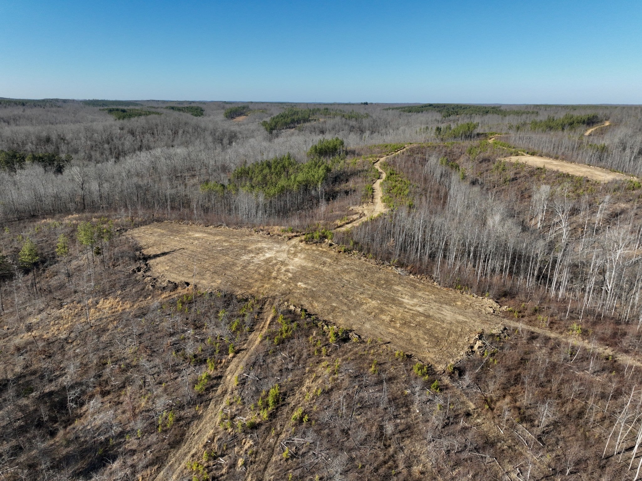 Photo of Listing #2974724