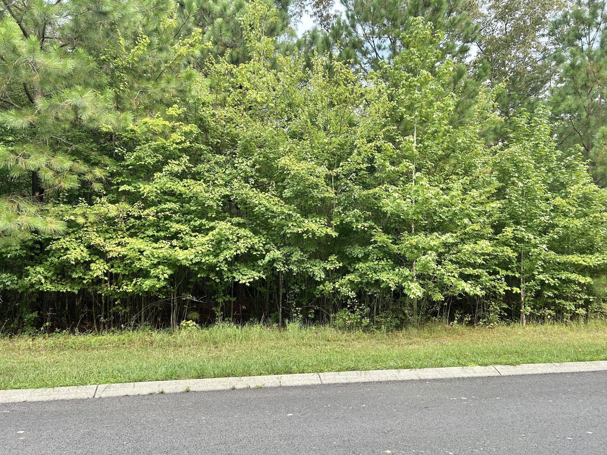 Photo of Listing #2974888