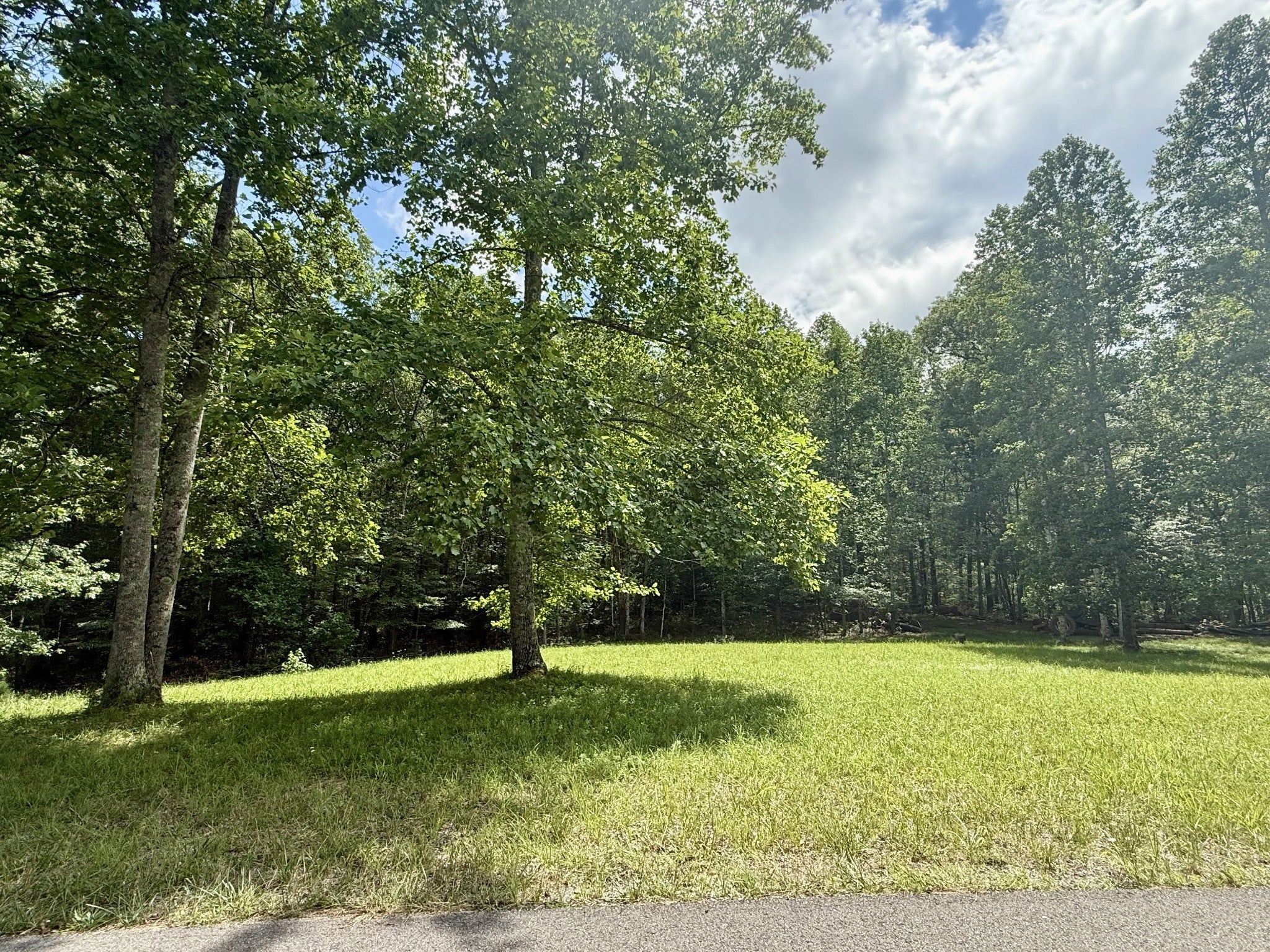 Photo of Listing #2975060