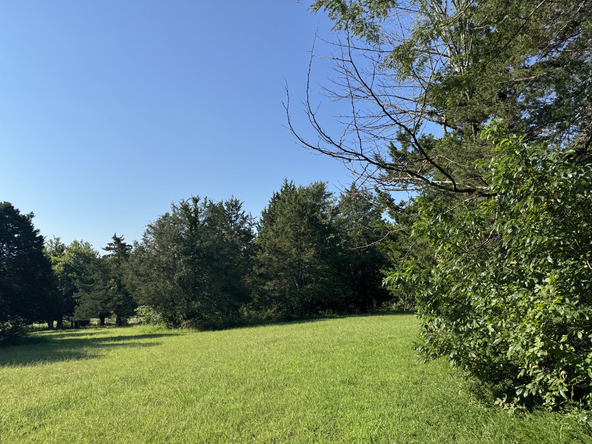Photo of Listing #2975250