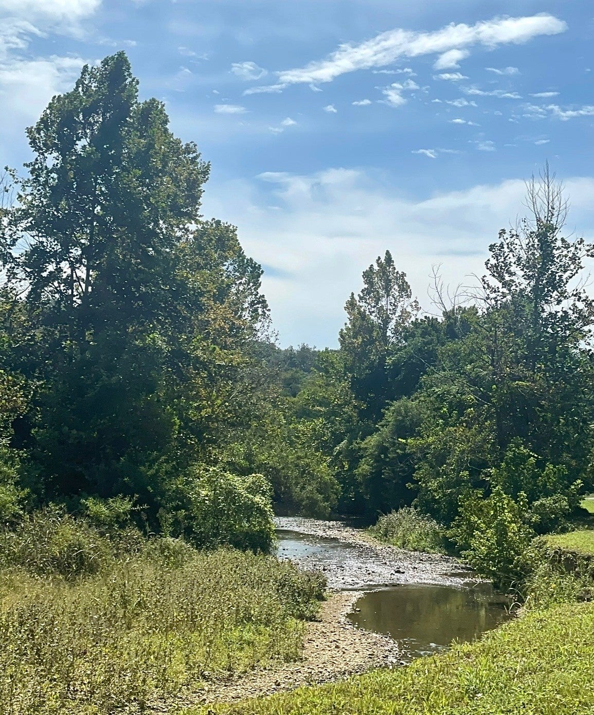 Photo of Listing #2975324