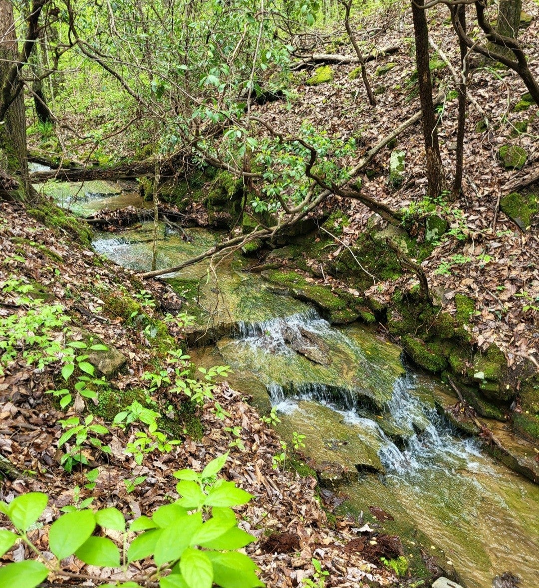 Photo of Listing #2975343