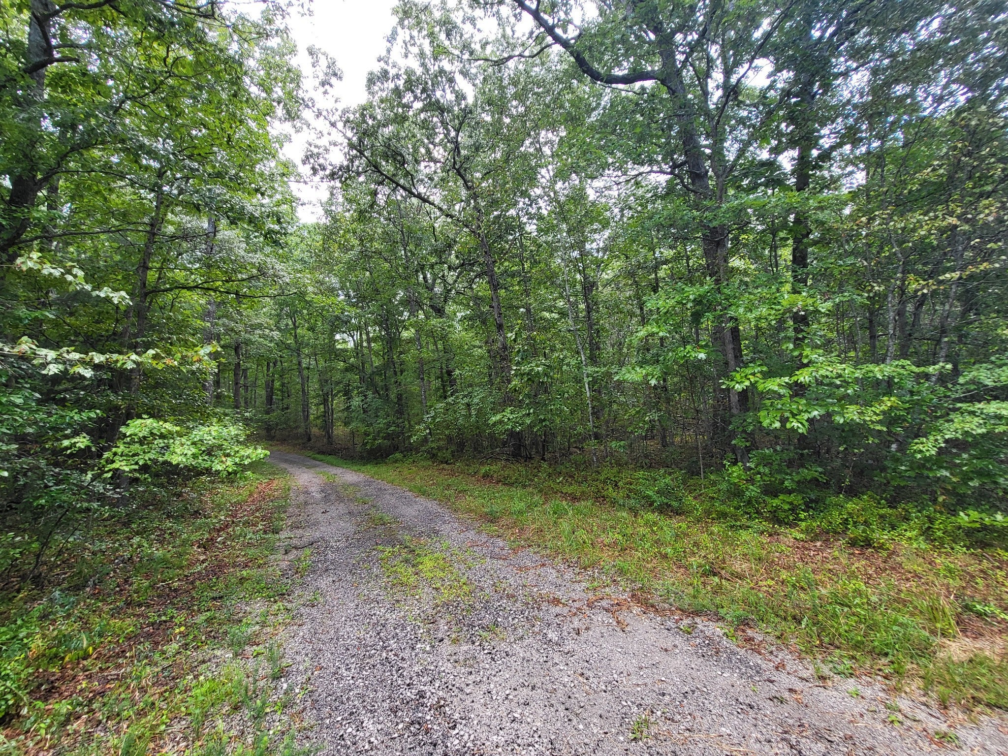 Photo of Listing #2975343