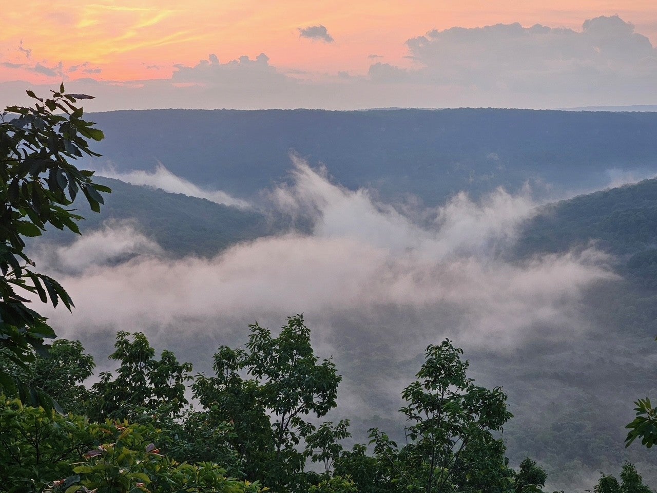 Photo of Listing #2976006