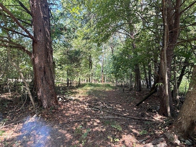 Photo of Listing #2976009