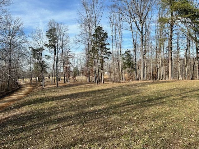 Photo of Listing #2976181