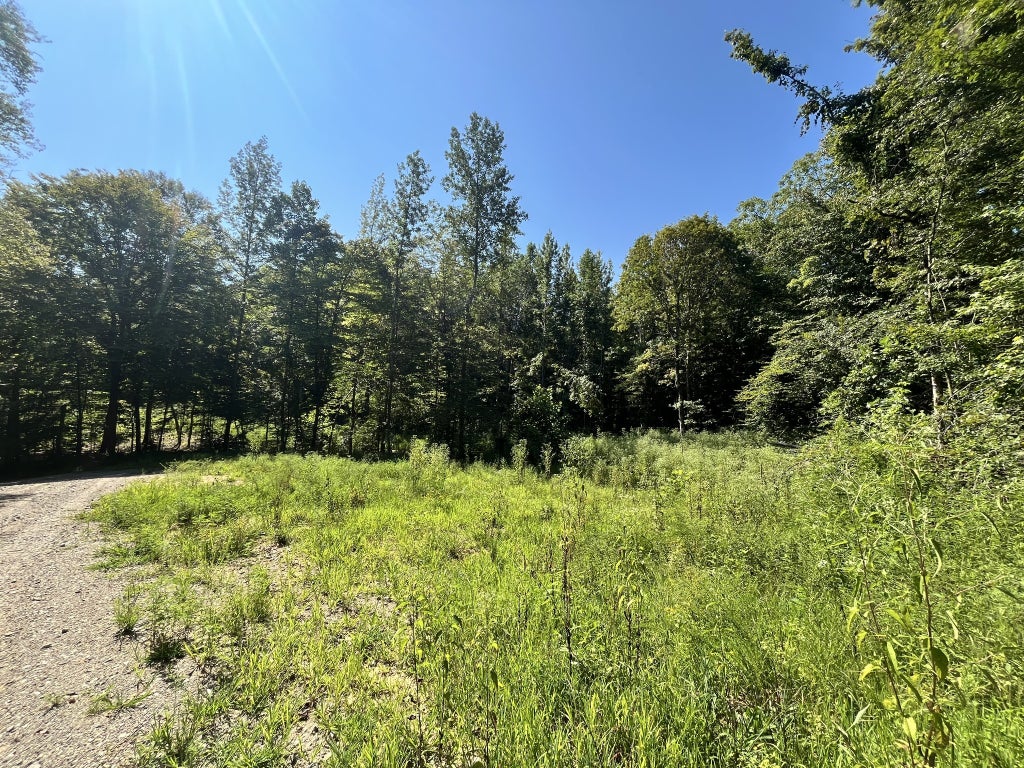 0 Big Sink Road, McMinnville