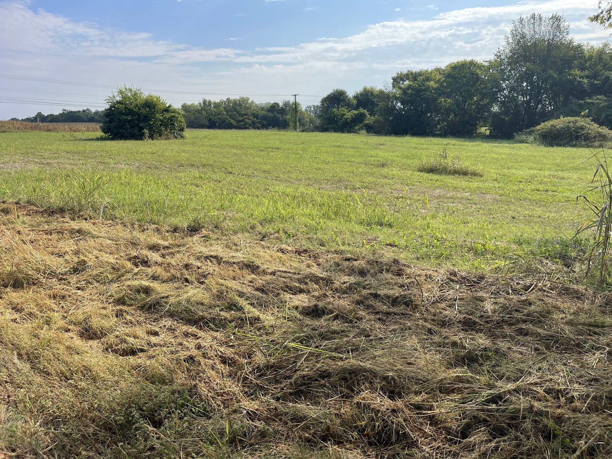 Photo of Listing #2976671