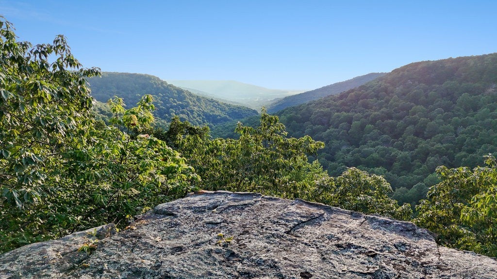 354 Little Trees Ramble, Monteagle