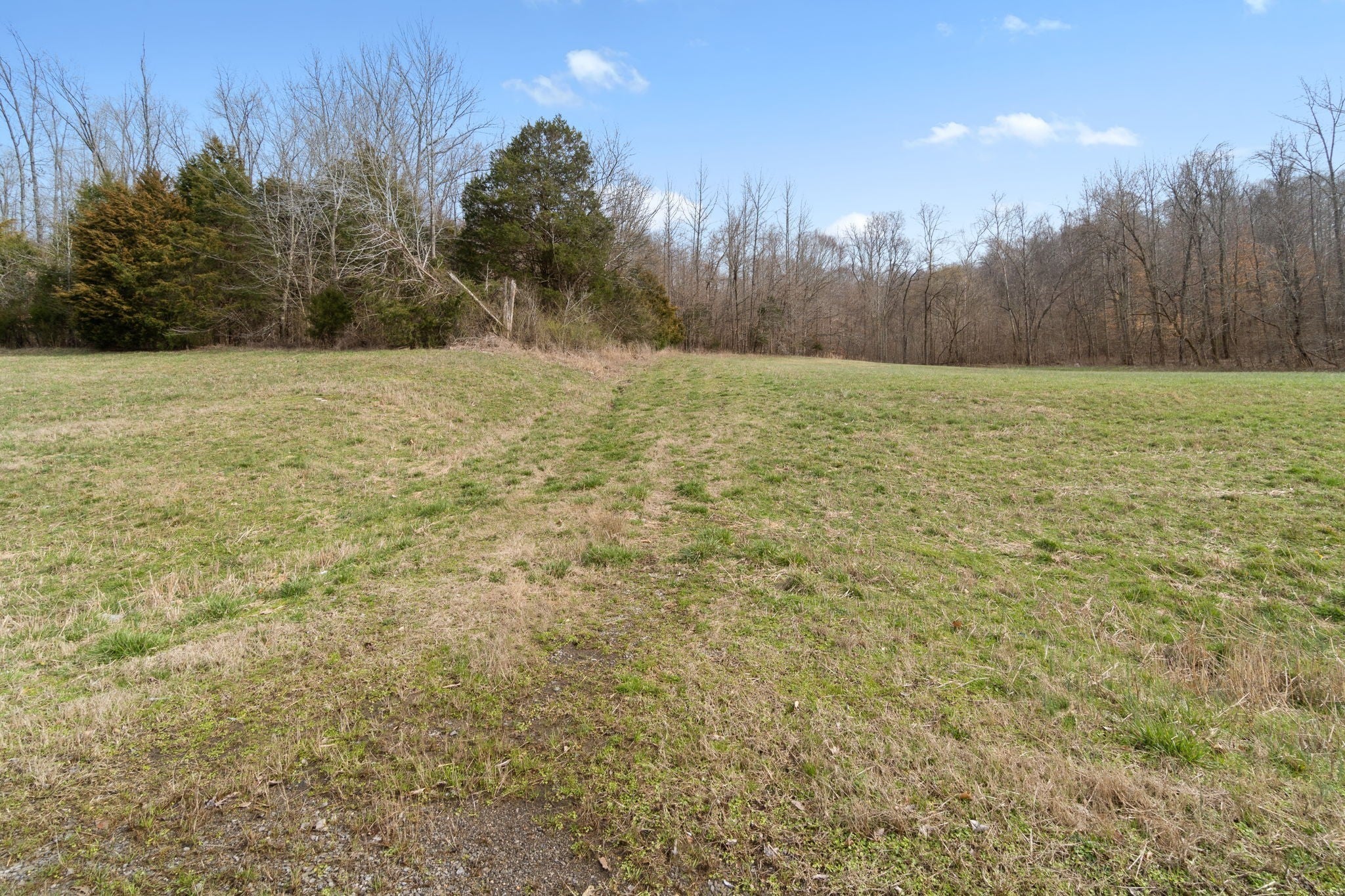 Photo of Listing #2978510