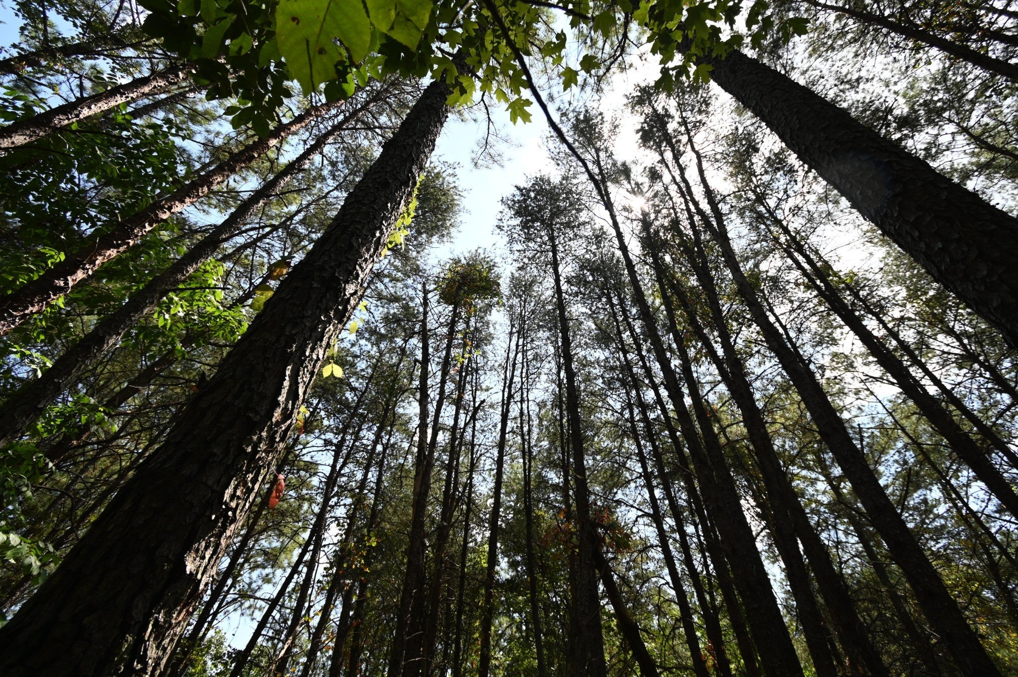 Photo of Listing #2978611