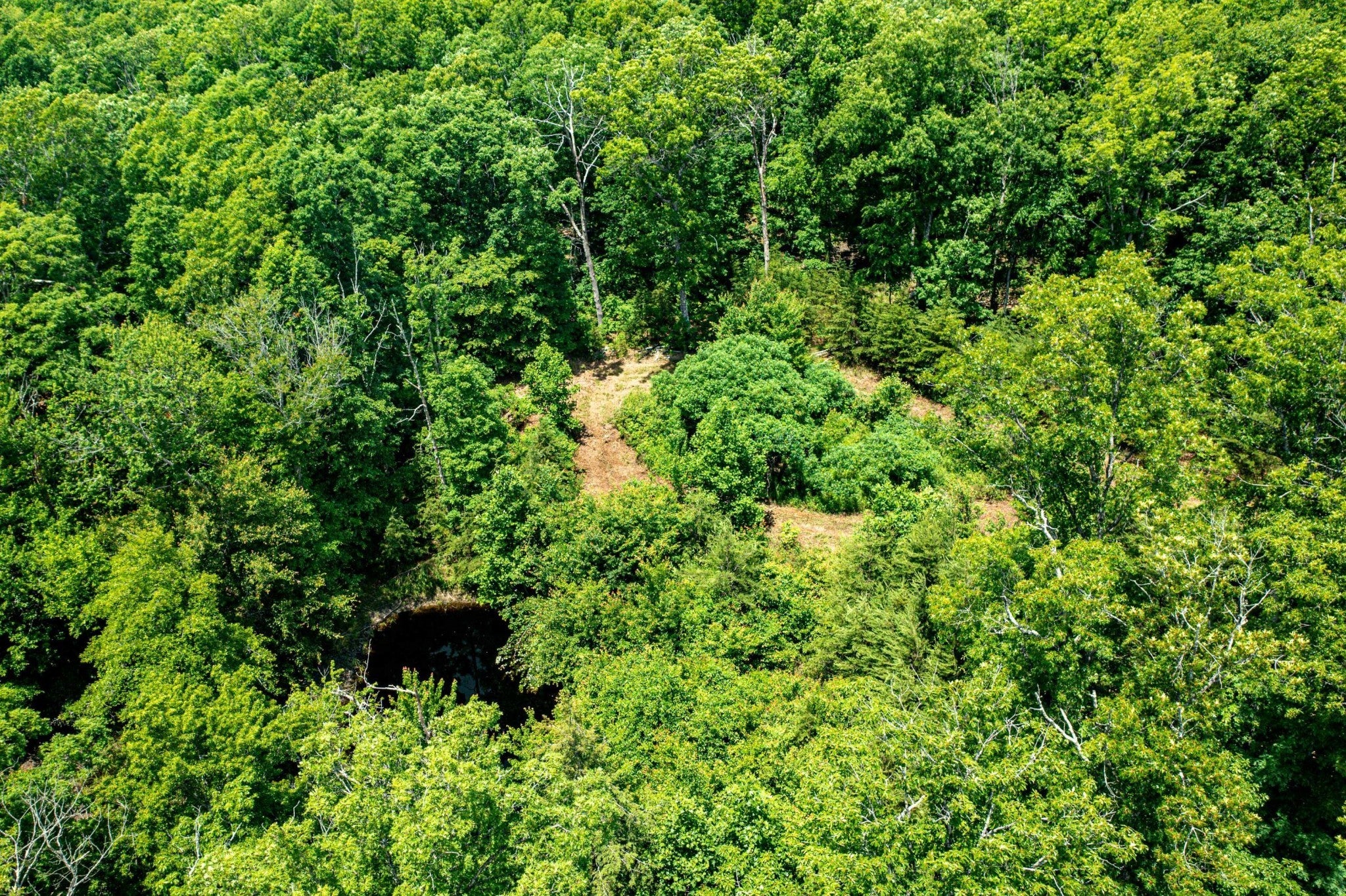 Photo of Listing #2978659