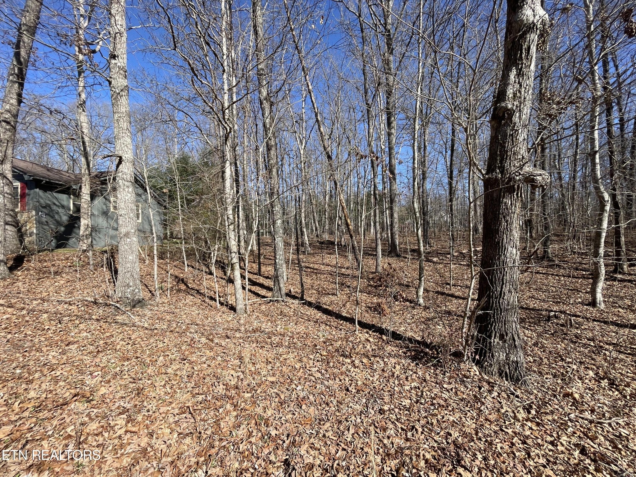 Photo of Listing #2978714