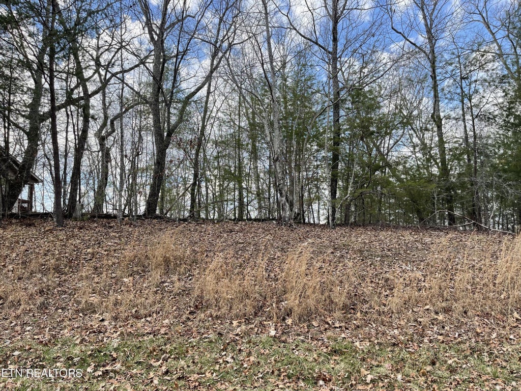 29 Ivydale Lane, Crossville