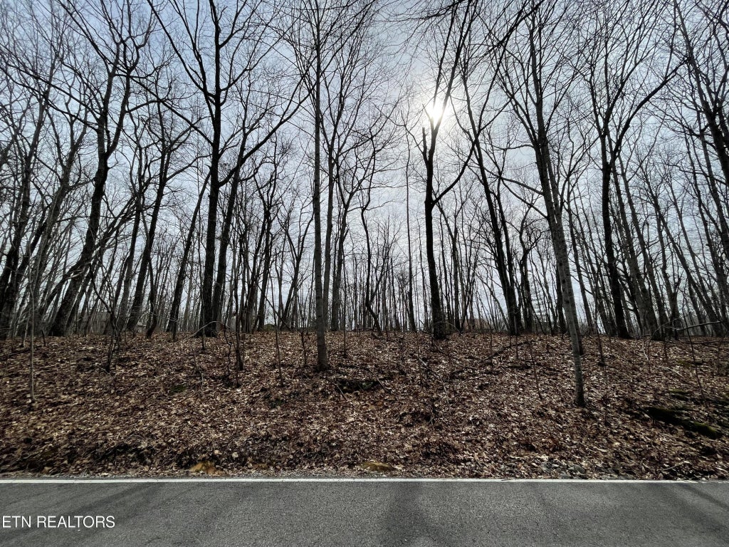 179 Anglewood Drive, Crossville