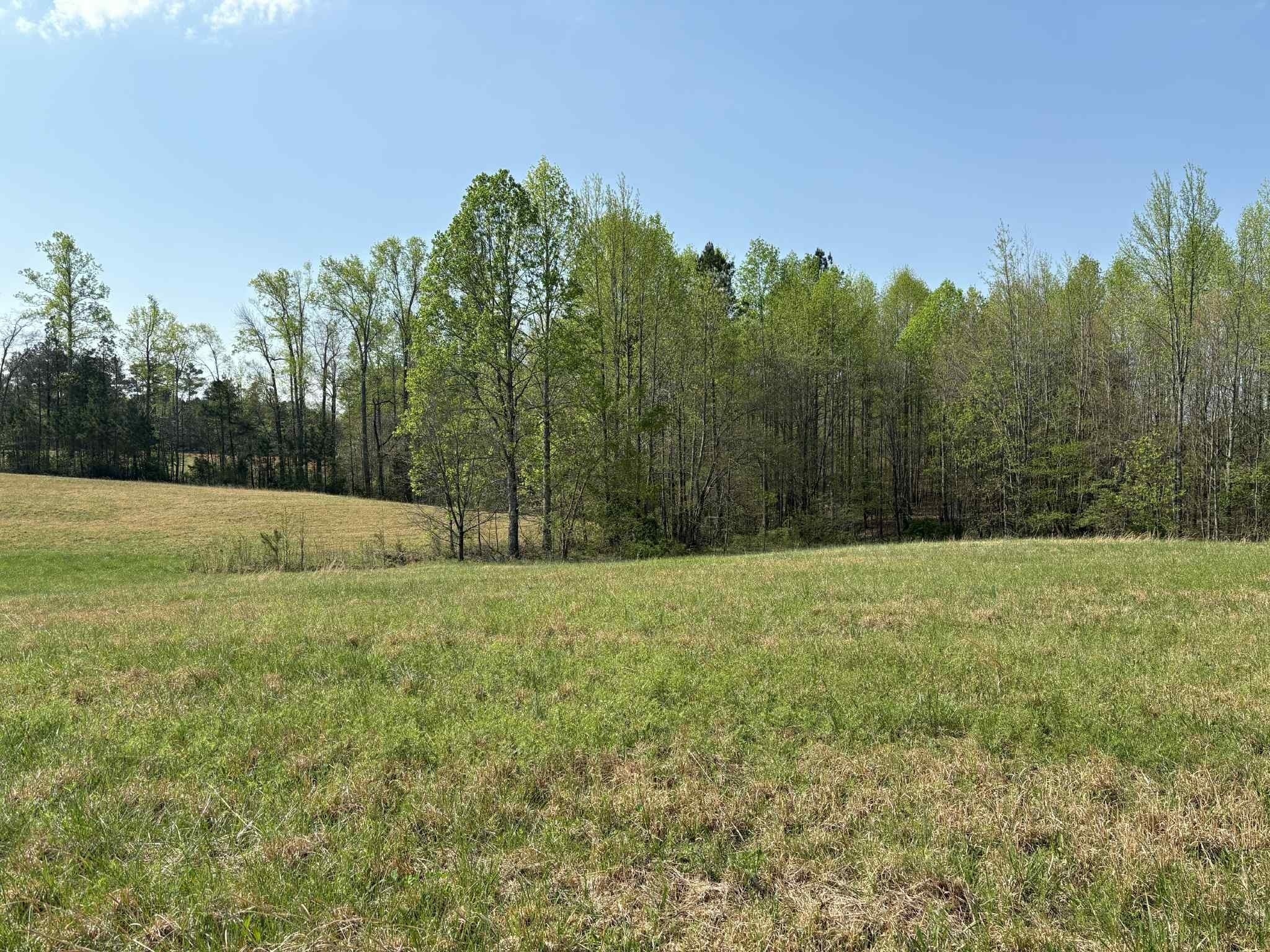Photo of Listing #2978749