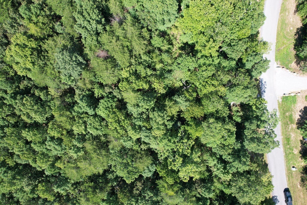 0 Gray Rock Vw, Pikeville