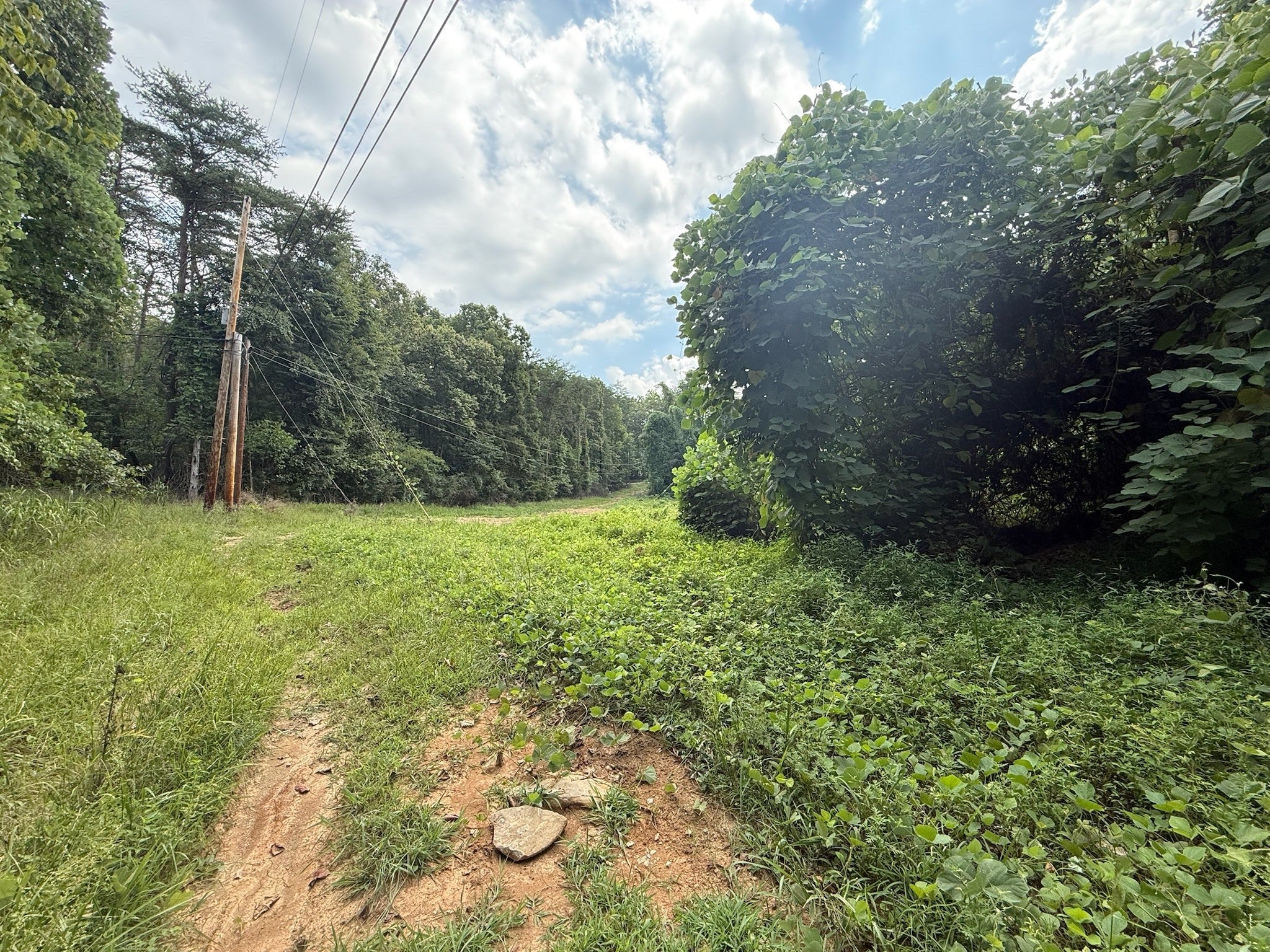 Photo of Listing #2979645