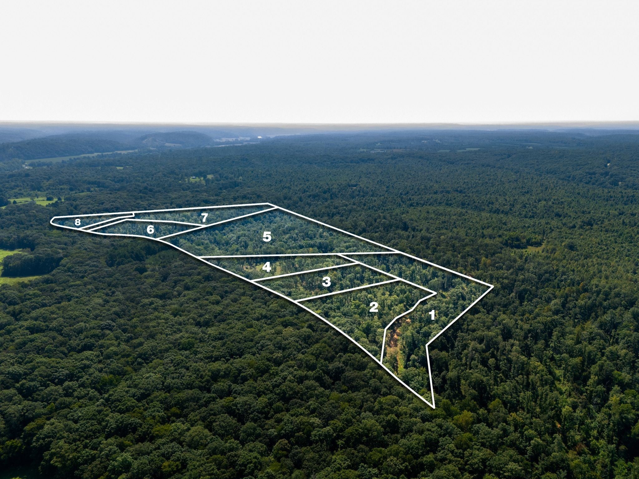 Photo of Listing #2980009