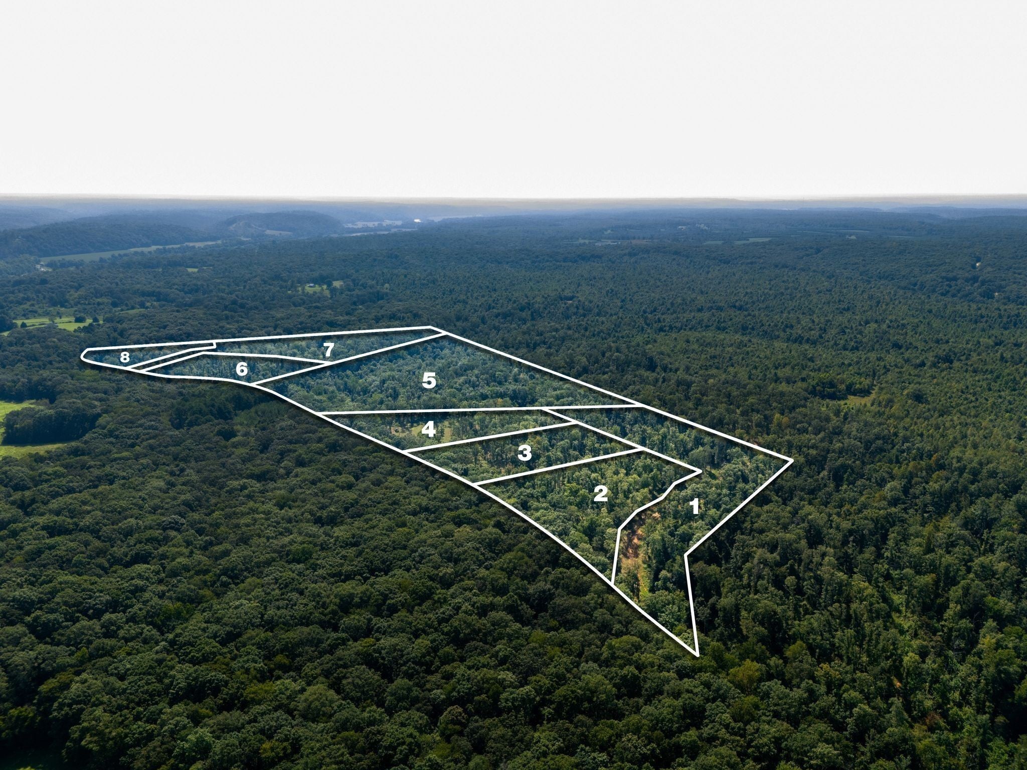 Photo of Listing #2980015