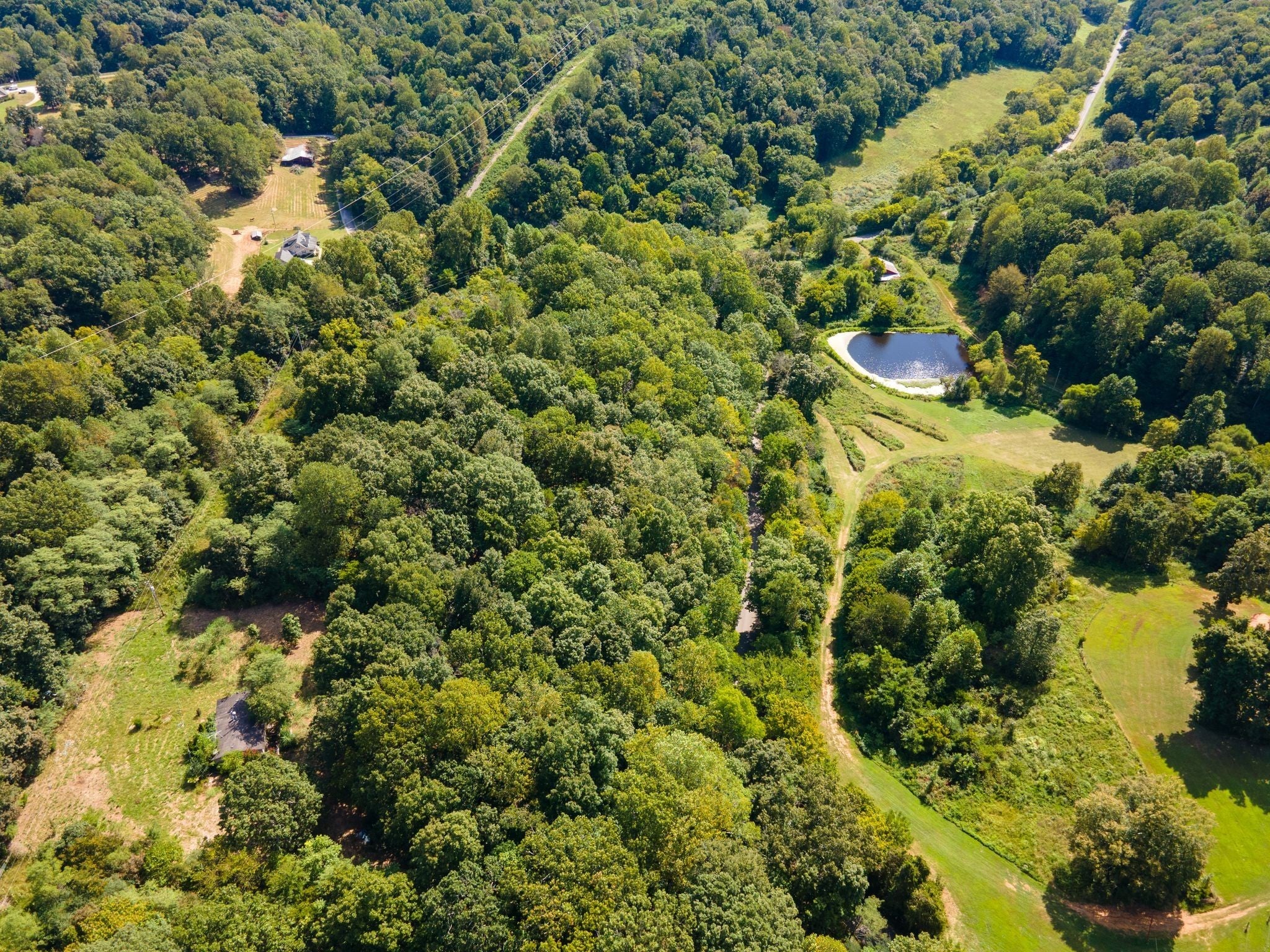 Photo of Listing #2980113