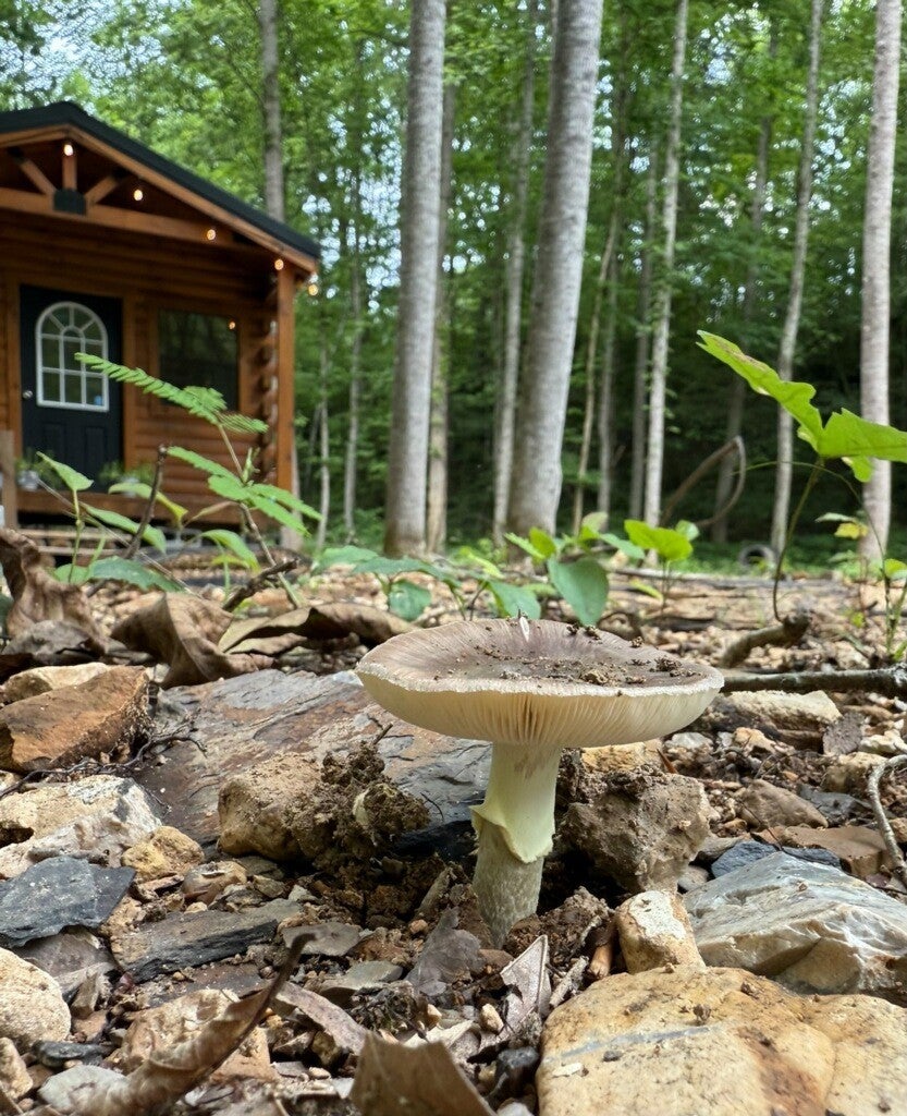 Photo of Listing #2980140