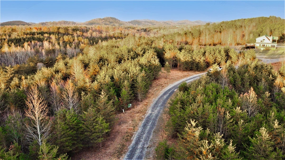 Photo of Listing #2980310