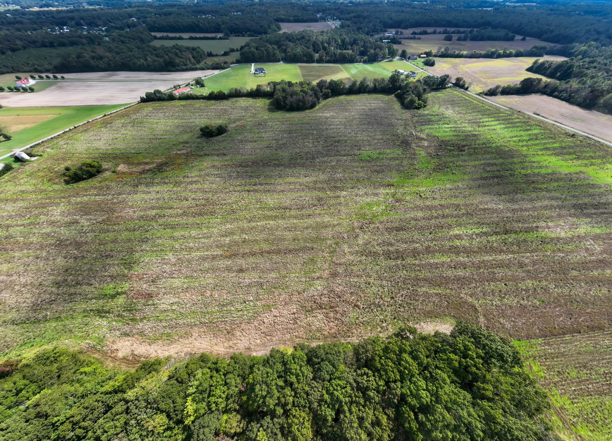 Photo of Listing #2980439