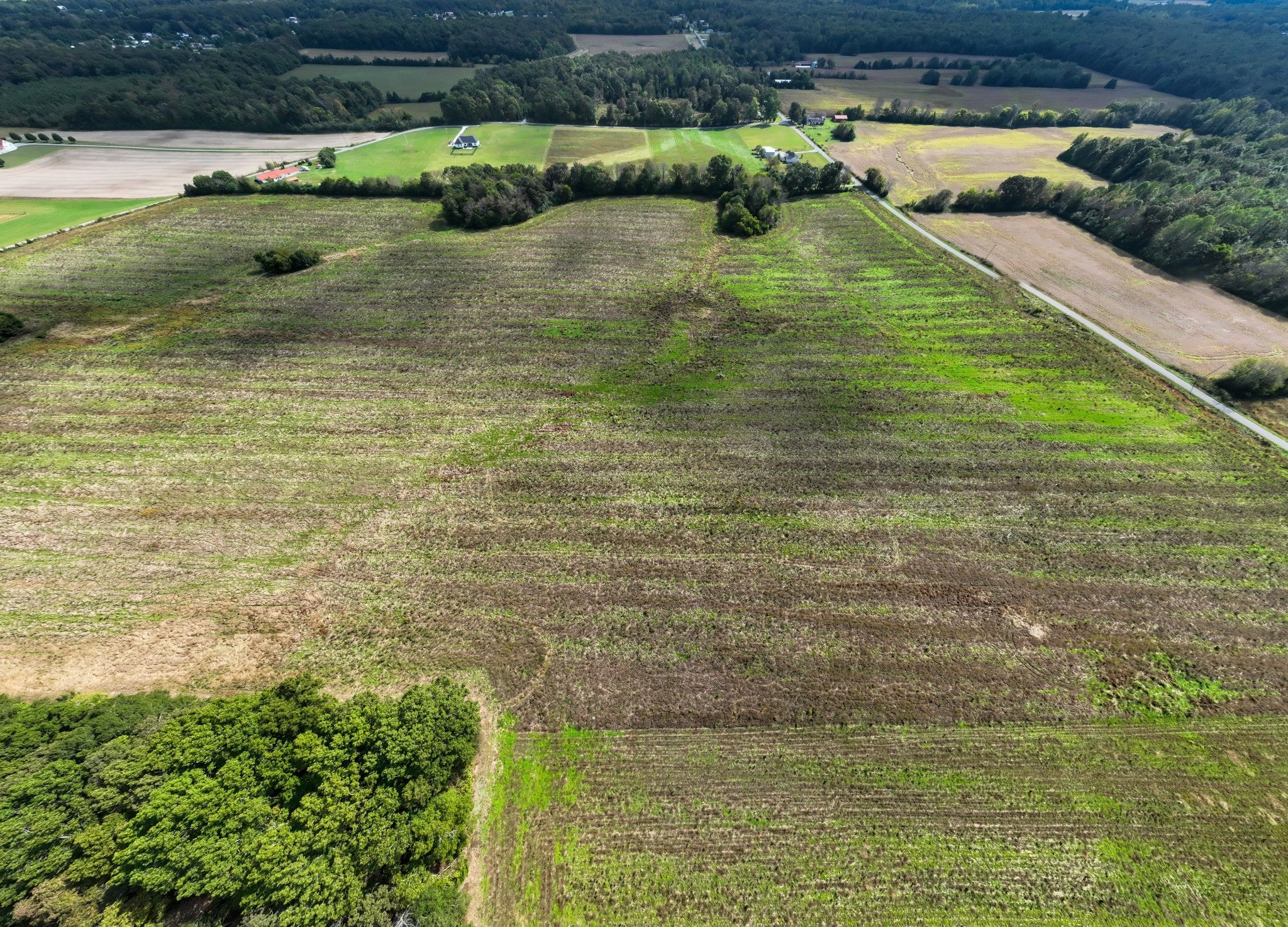 Photo of Listing #2980445