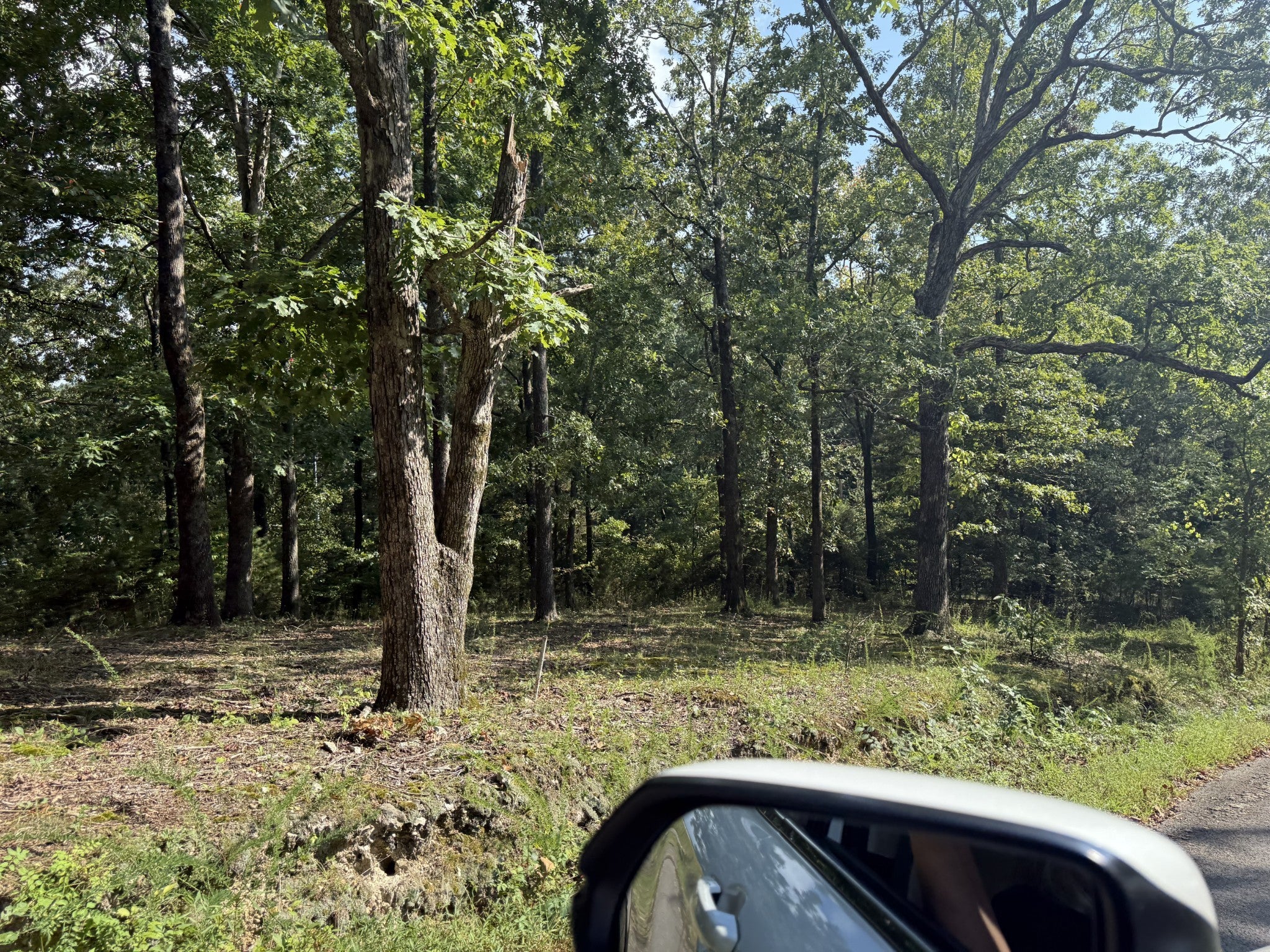 Photo of Listing #2981304