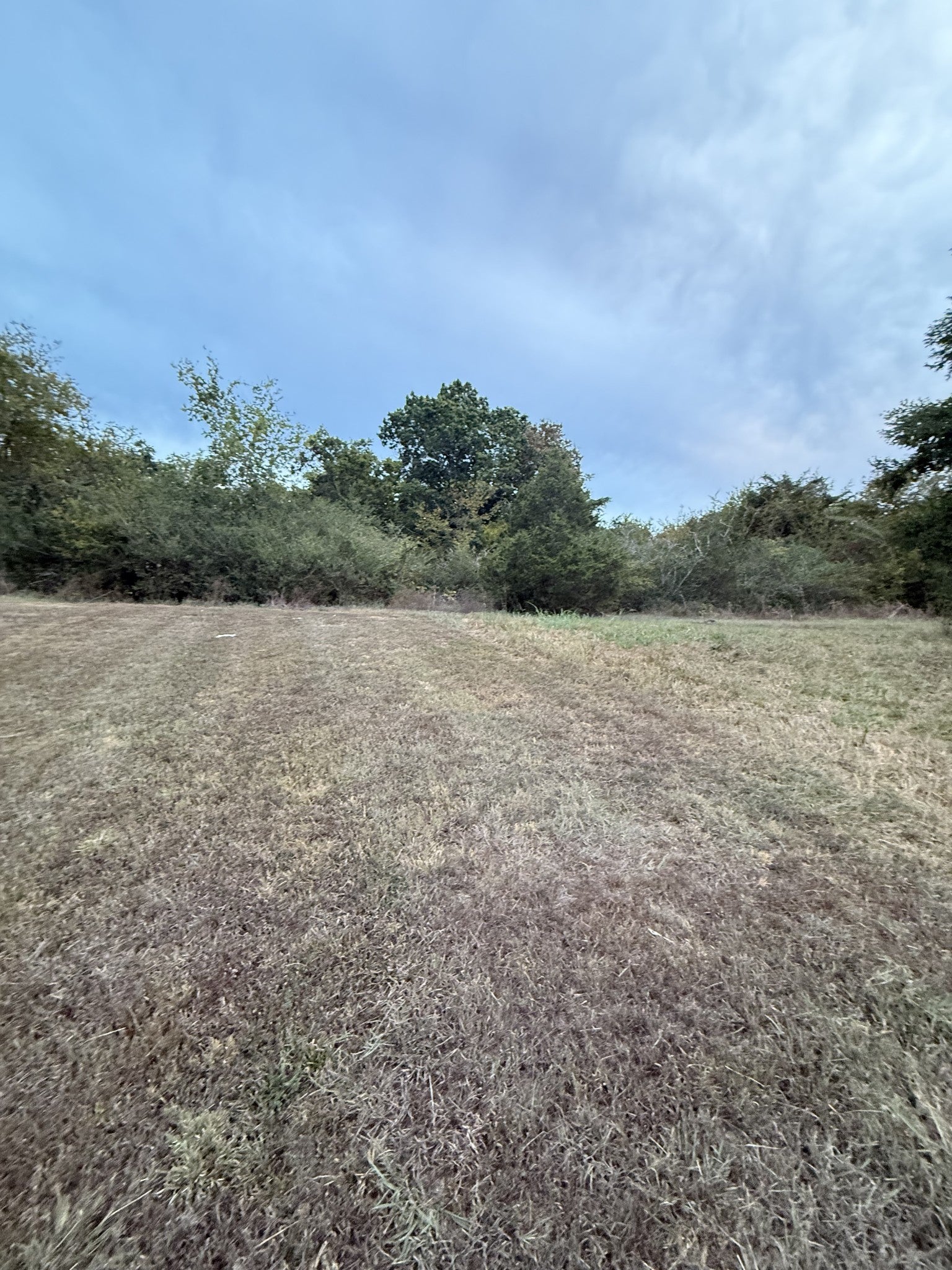 Photo of Listing #2981493