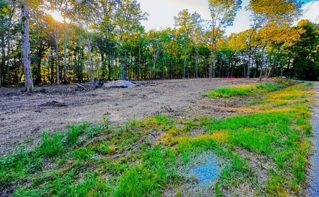 Photo of Listing #2981720