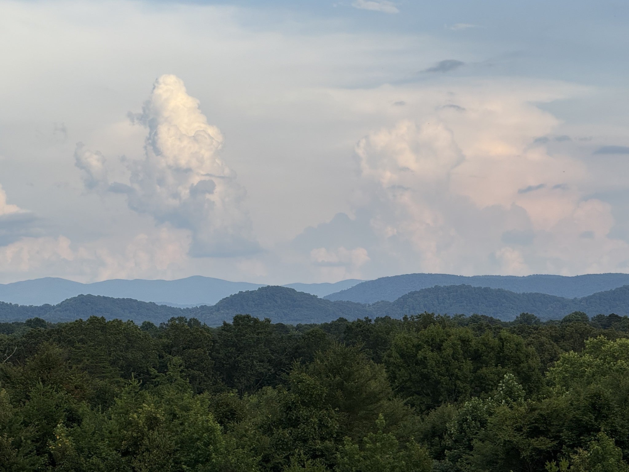 Photo of Listing #2981868