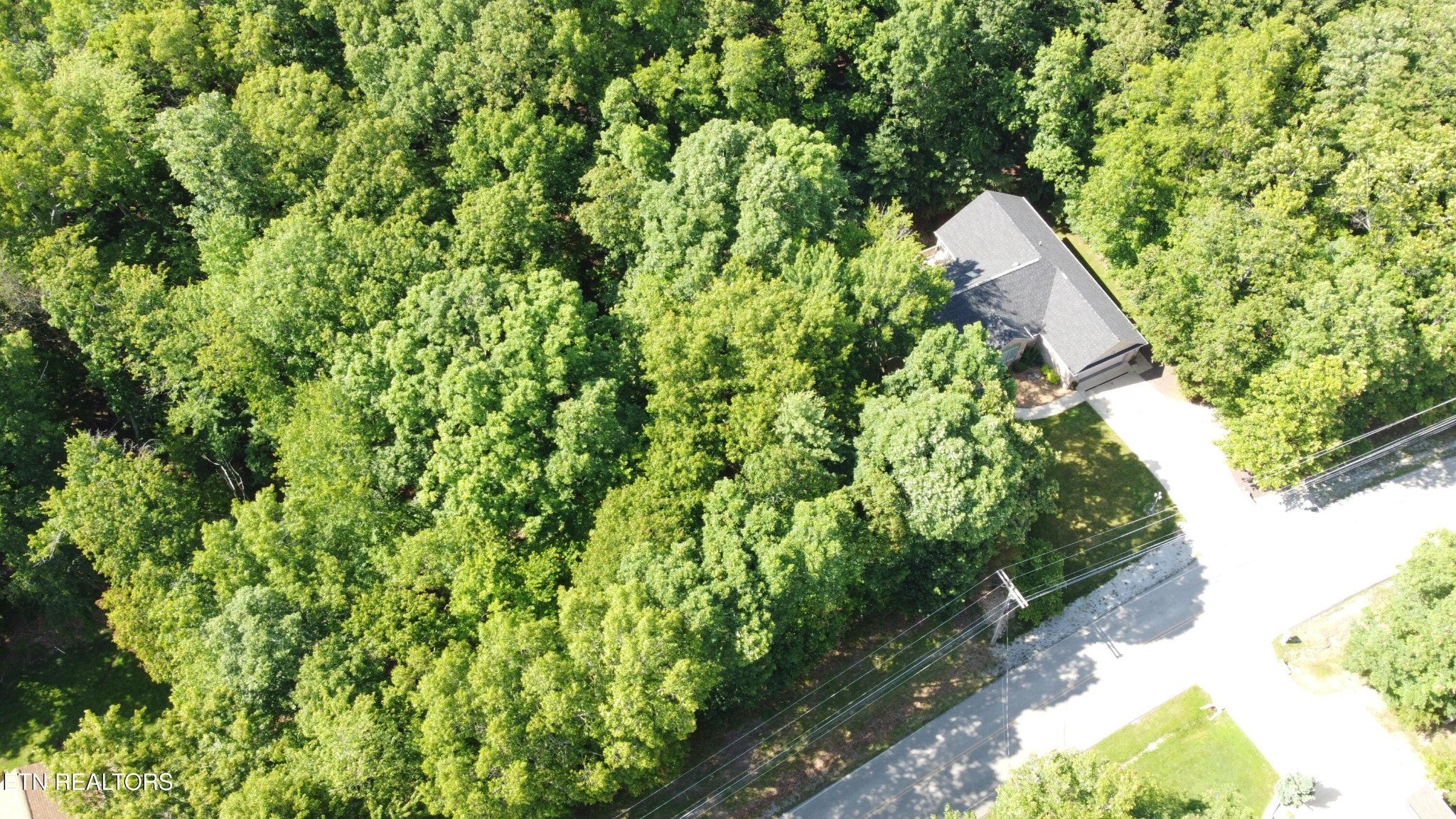 Photo of Listing #2982159